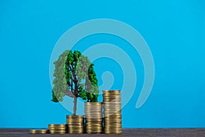 Tree growing on pile of golden coins, growth business finance in