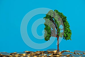 Tree growing on pile of golden coins, growth business finance in