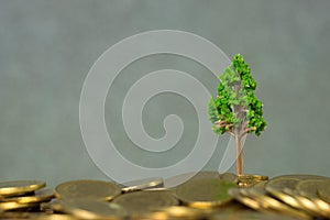 Tree growing on pile of golden coins, growth business finance in