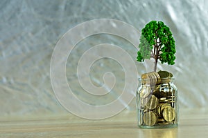 Tree growing on pile of golden coins, growth business finance in
