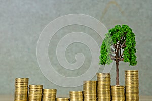 Tree growing on pile of golden coins, growth business finance in