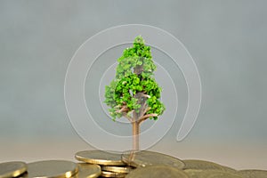 Tree growing on pile of golden coins, growth business finance in