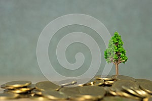 Tree growing on pile of golden coins, growth business finance investment and Corporate Social Responsibility or CSR practice and