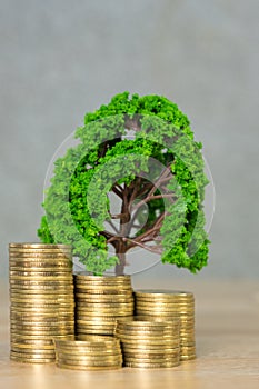 Tree growing on pile of golden coins, growth business finance investment and Corporate Social Responsibility or CSR practice and