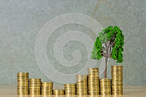 Tree growing on pile of golden coins, growth business finance investment and Corporate Social Responsibility or CSR practice and