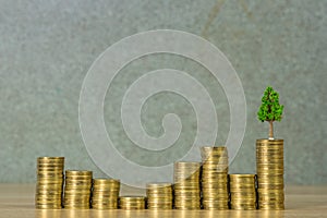 Tree growing on pile of golden coins, growth business finance investment and Corporate Social Responsibility or CSR practice and