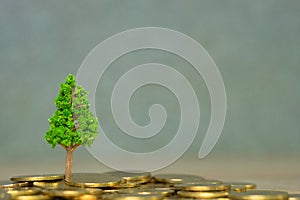 Tree growing on pile of golden coins, growth business finance investment and Corporate Social Responsibility or CSR practice and