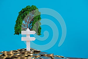 Tree growing on pile of golden coins and white wooden board sign