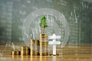 Tree growing on pile of golden coins and white wooden board sign