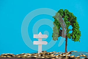 Tree growing on pile of golden coins and white wooden board sign