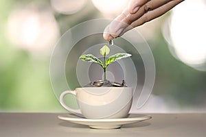 A tree growing on a pile of money in a white coffee cup, including a hand that watered the plants, ideas for financial growth.