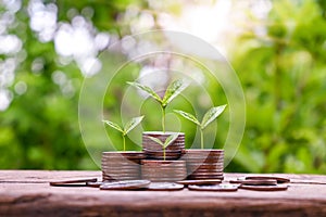 Tree growing on a pile of silver coins and blurred green background.