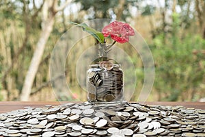 Tree growing from pile of stacked lots coins with blurred background, Money stack for business planning investment