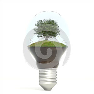 The tree growing on the soil in a light bulb.