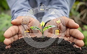 Tree growing on soil and plant growth factor icon in farmer hands