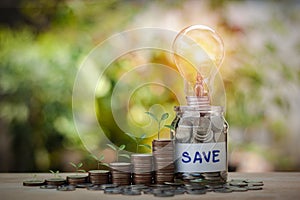 Tree growing on stacks of coins and Energy saving light bulb on a jar with sun light bokeh background. Saving money concept.