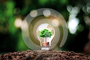 Tree grows in light bulbs, energy-saving and environmental.