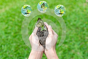 Tree growth in hand man with butterlfy and green world