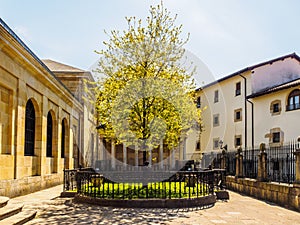 The Tree of Guernica Gernika, Basque Country