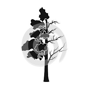 Tree half full of green leaf and half dry icon in black style isolated on white background. Bio and ecology symbol stock