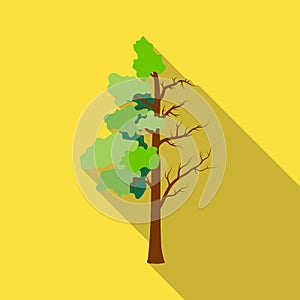 Tree half full of green leaf and half dry icon in outline style on white background. Bio and ecology symbol