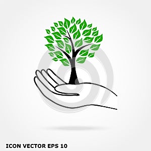 Tree in hand icon