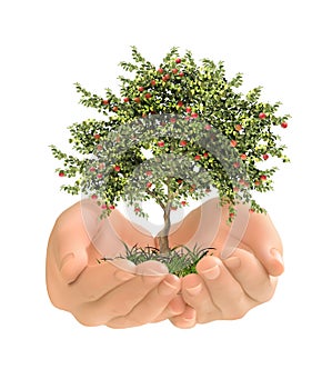 The tree in the hands. Vector illustration