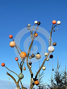 Tree with hanging buoy