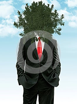 Tree instead head of businessman with hands in his pocket