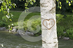 Tree with heart and letters A + B carved in