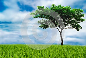 Tree helps reduce the global warming, love the world love trees, earth Day concept please join us for the future.