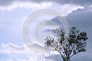 Tree on hill at Khao Lon mountain in Thailand