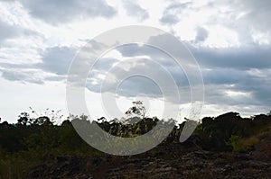 Tree on hill at Khao Lon mountain in Thailand