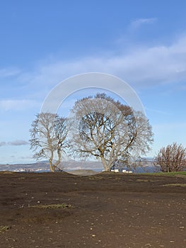 Tree hill and lake cloud
