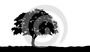 Tree on the hill silhouette on vector