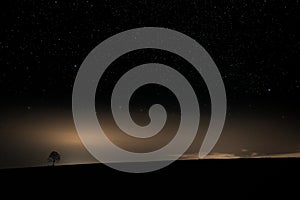 Tree on a hill with a starry night