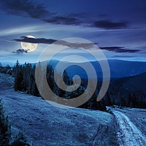 Tree on hillside path through meadowon hillside at night