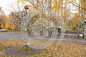 Tree with honeymooners locks in park