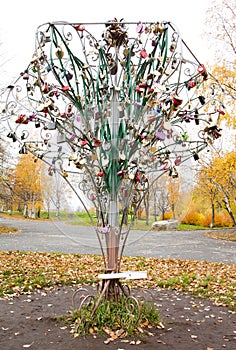 Tree with honeymooners locks in park