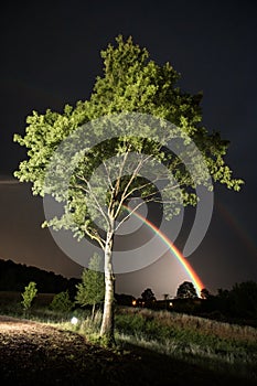 Tree of hope illuminated by light and rainbow in darkness