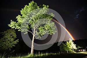 Tree of hope illuminated by light and rainbow in darkness
