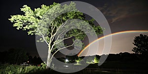 Tree of hope illuminated by light and rainbow in darkness