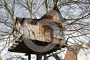 Tree house