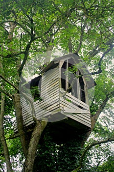 Tree House