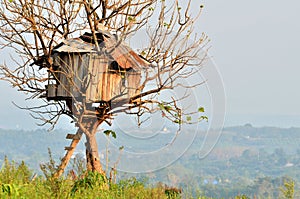 Tree house