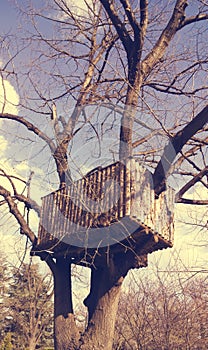 Tree house