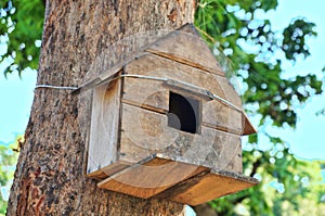 Tree house for the birds, closeup