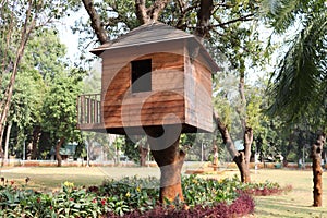Tree house Botanical Garden in Puducherry, India