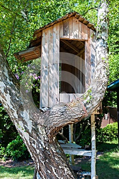 Tree house in a branched birch tree, small playhouse
