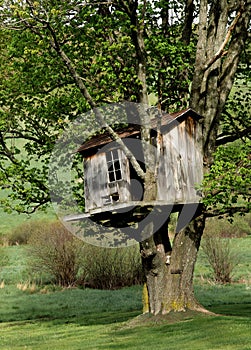 Wonderful Old Treehouse in the Country.